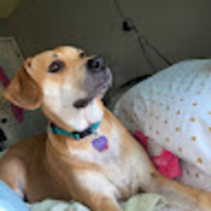 Meet your Posher, Stacee